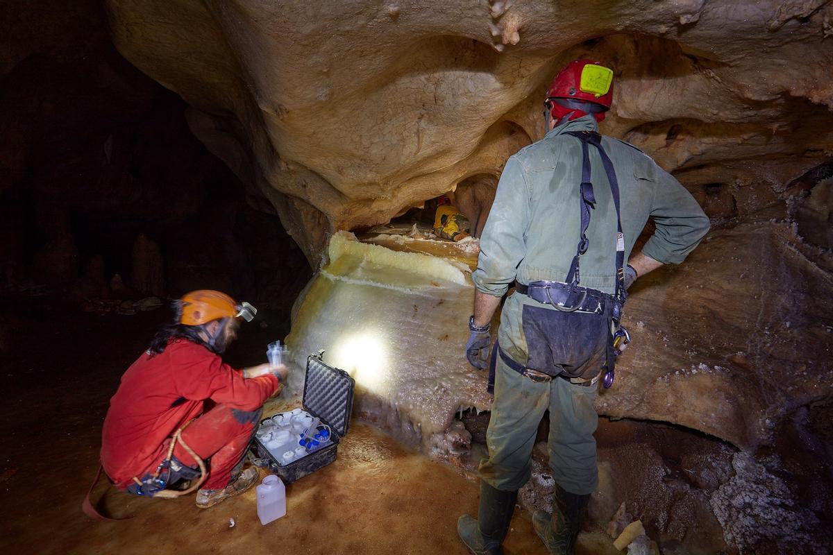 El equipo de investigación, en la Cueva de la Maravilla Blanca, junto a una de las estegamitas.