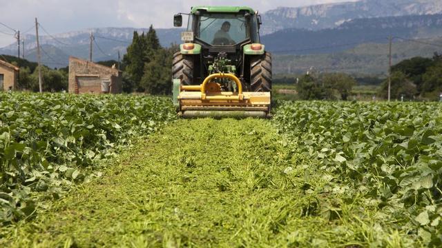 agricultores