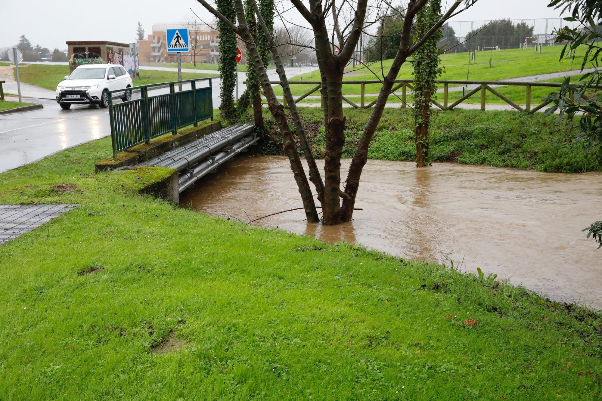 En imágenes: las consecuencias de la borrasca "Fein" en Gijón