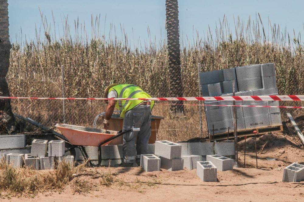 Un muro cierra el palmeral de Ferrís en Torrevieja