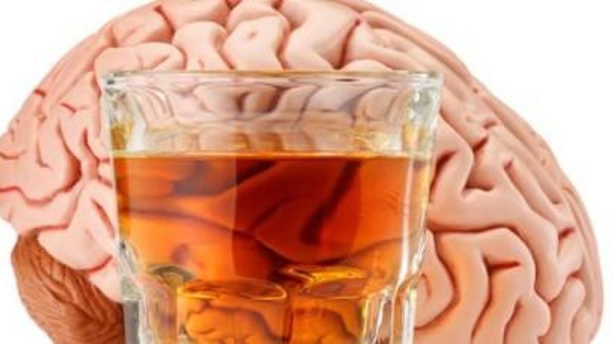 El consum d&#039;alcohol, afecta al teu cervell?