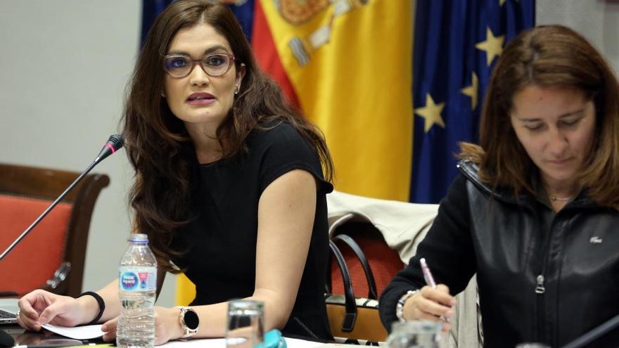 La psiquiatra infantil Sabrina González, este lunes en el Parlamento de Canarias.