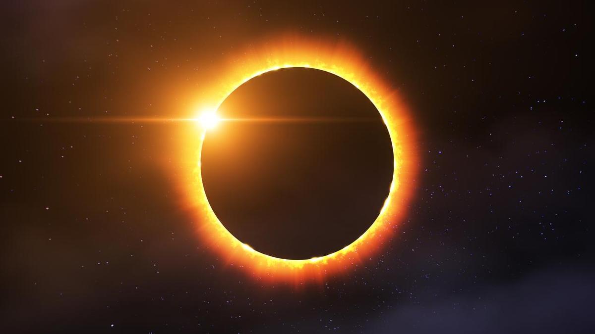 Esto es lo que pasará con los pájaros y aves el 12 de agosto, durante el eclipse de sol.