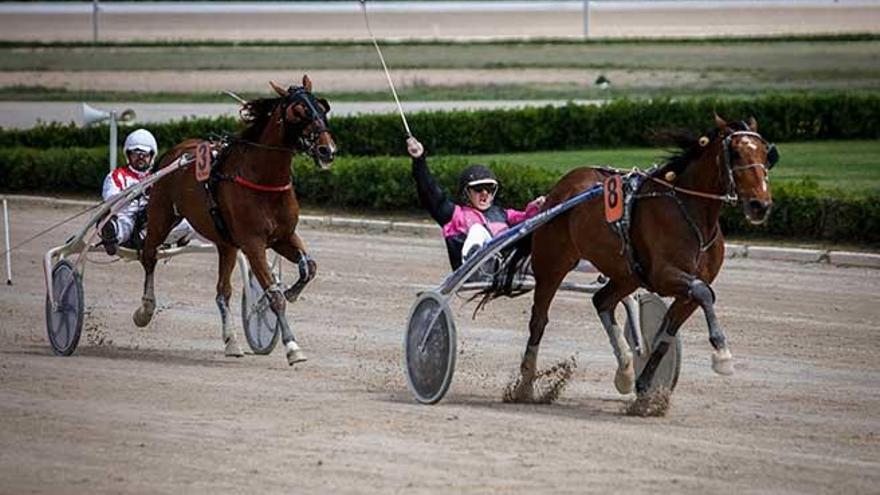 Joan Fluxá celebra a las riendas del caballo francés Ritz du Bocage (8) su victoria de ayer por delante de Tropic du Hêtre (3).