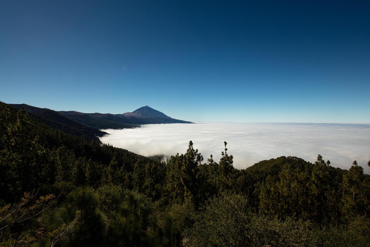 En el Parque Nacional del Teide podrás subir al pico más alto de España