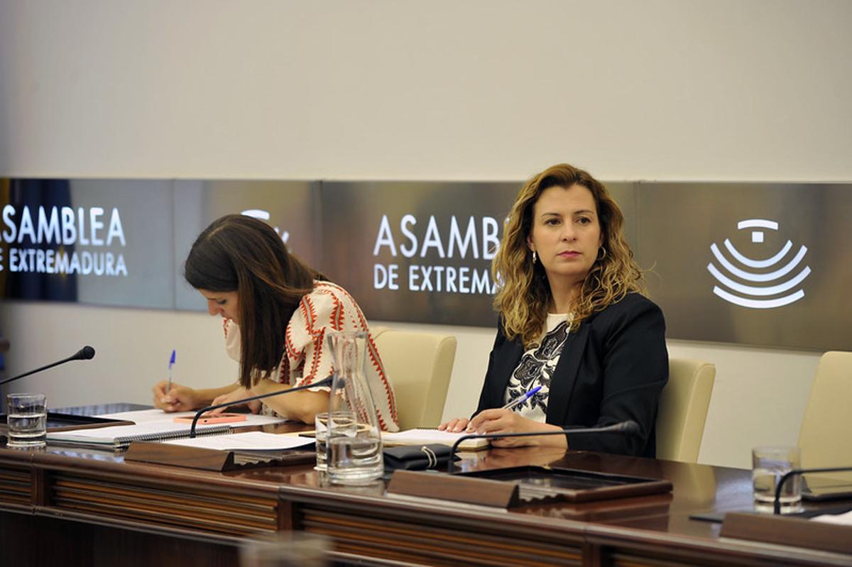 Diputadas del PSOE en la Comisión de Salud y Atención a la Dependencia.