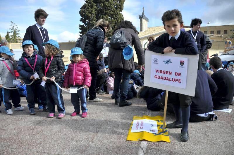 Fotogalería de la Babyolimpiada