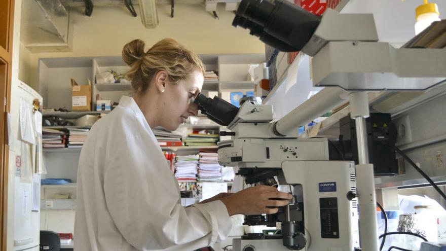 Una investigadora en un laboratorio. // C.L.