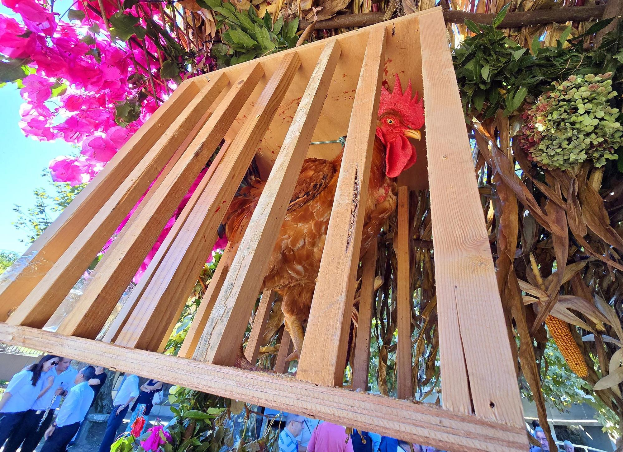 Tradicional procesión en San Miguel de Peitieiros