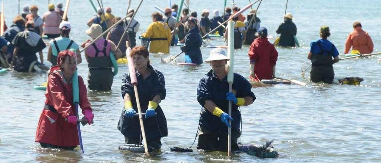 Las mariscadoras decidieron este año trabajar con la marea alta. // Gonzalo Núñez