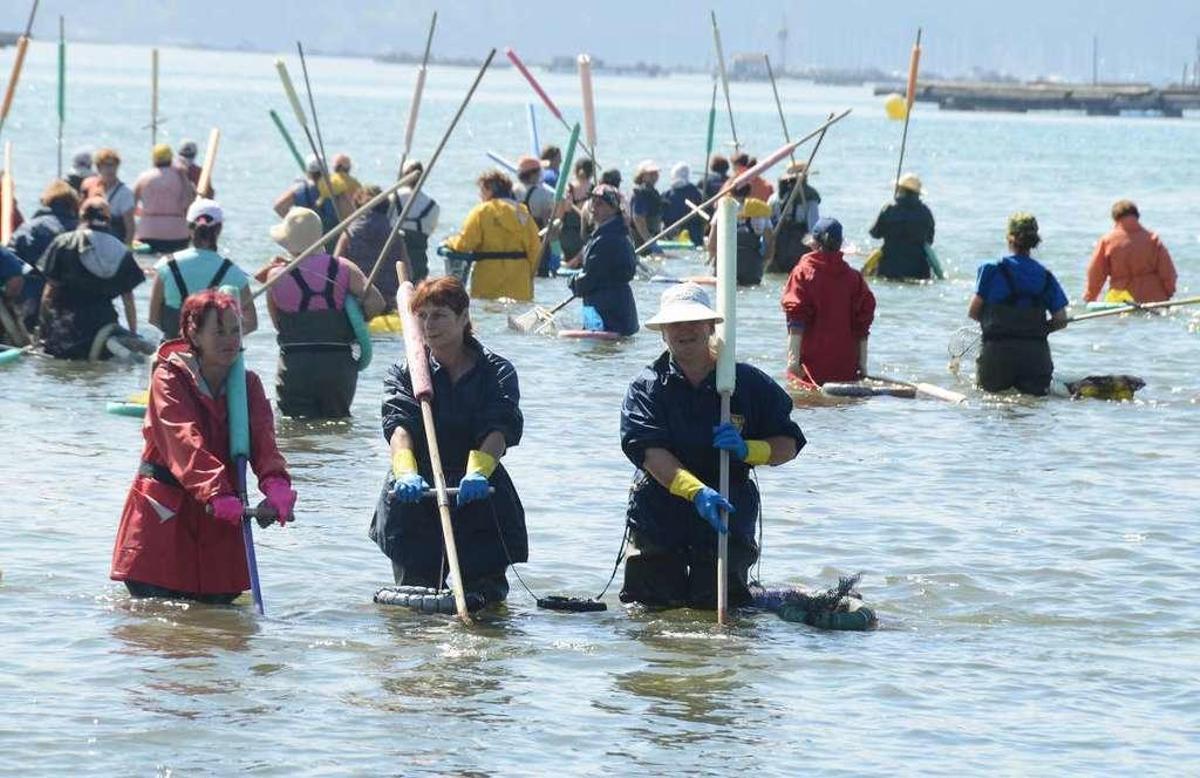 Las mariscadoras constatan un aumento de berberecho tras tres años de  mortandad