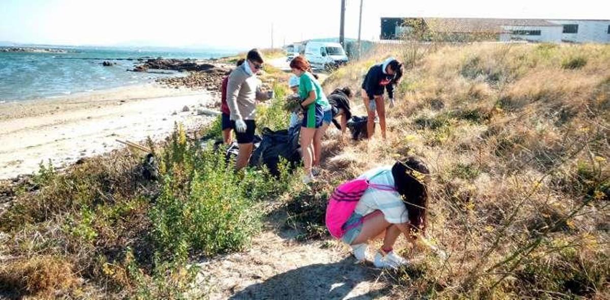 El campo de voluntariado retira una gran cantidad de plantas invasoras en Ostreira