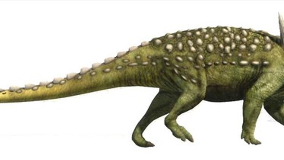 Reconstrucción artística de 'Struthiosaurius'