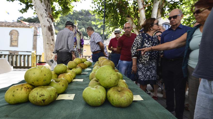 Valleseco huele a manzana a principios de octubre