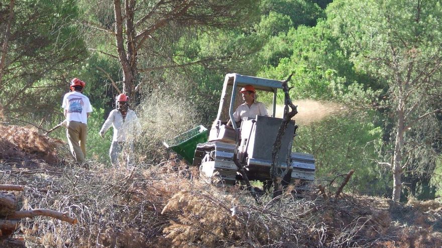 Actuaciones forestales e incendios