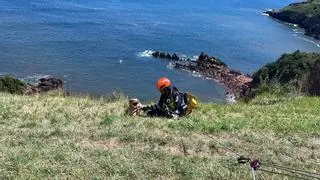 Rescatan una perrita que se precipitó por un barranco en Candás