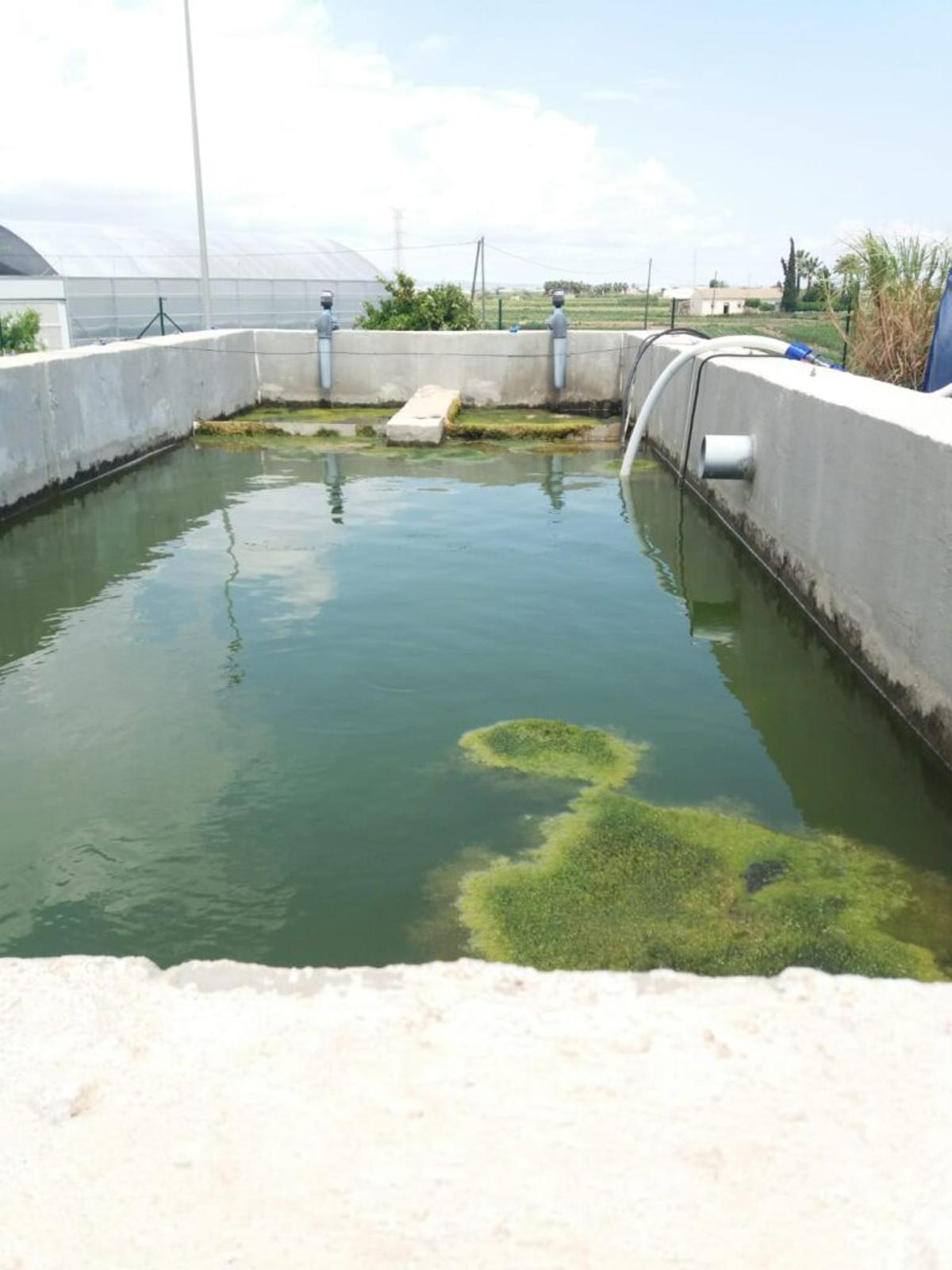 Prueba piloto del sistema de desnitrificación Puremust de Ingeobras en el tramo final de la cuenca vertiente al Mar Menor.