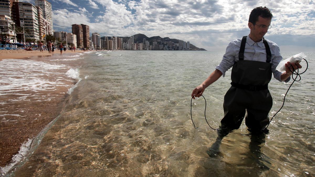 Un técnico del laboratorio municipal realiza una analítica del agua de la playa de Levante de Benidorm.