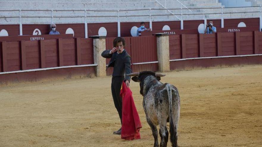 Las corridas de toros podrían regresar a La Malagueta en agosto