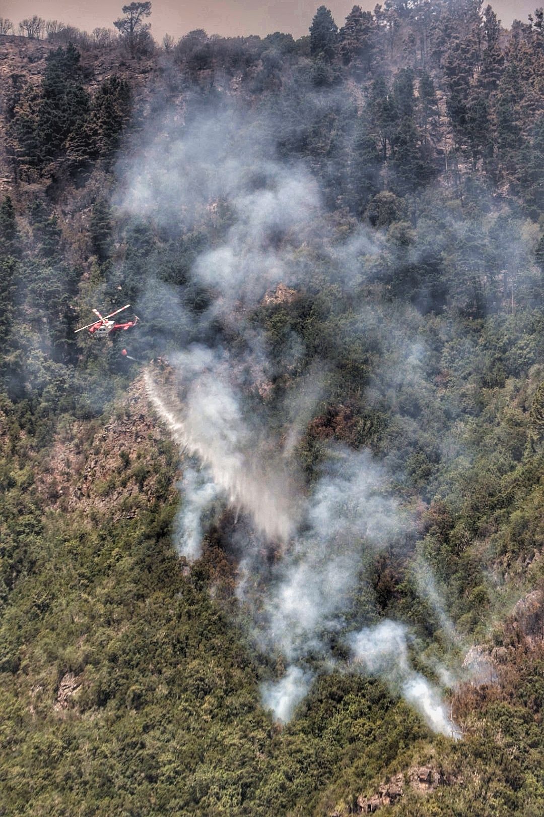 Labores de extinción del incendio en Tigaiga, Tenerife (26/07/2022)