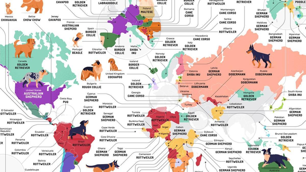 Mapa del mundo con los perros más populares