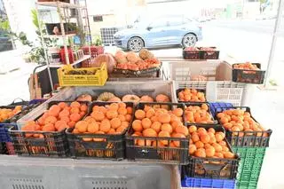 Vinaròs convierte la naranja, el limón y la mandarina en estrellas de su cocina