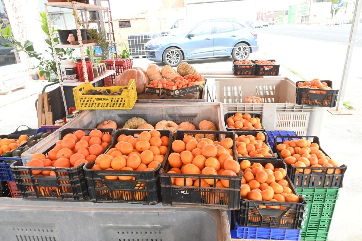 Foto de archivo de venta de naranjas sin intermediarios.