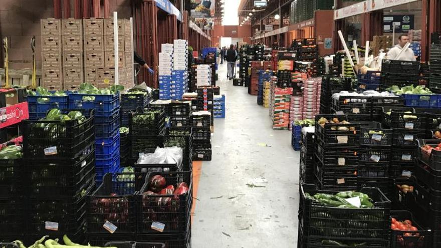 Imagen de una de las naves de productos hortofrutícolas de Mercalicante tomada este lunes.