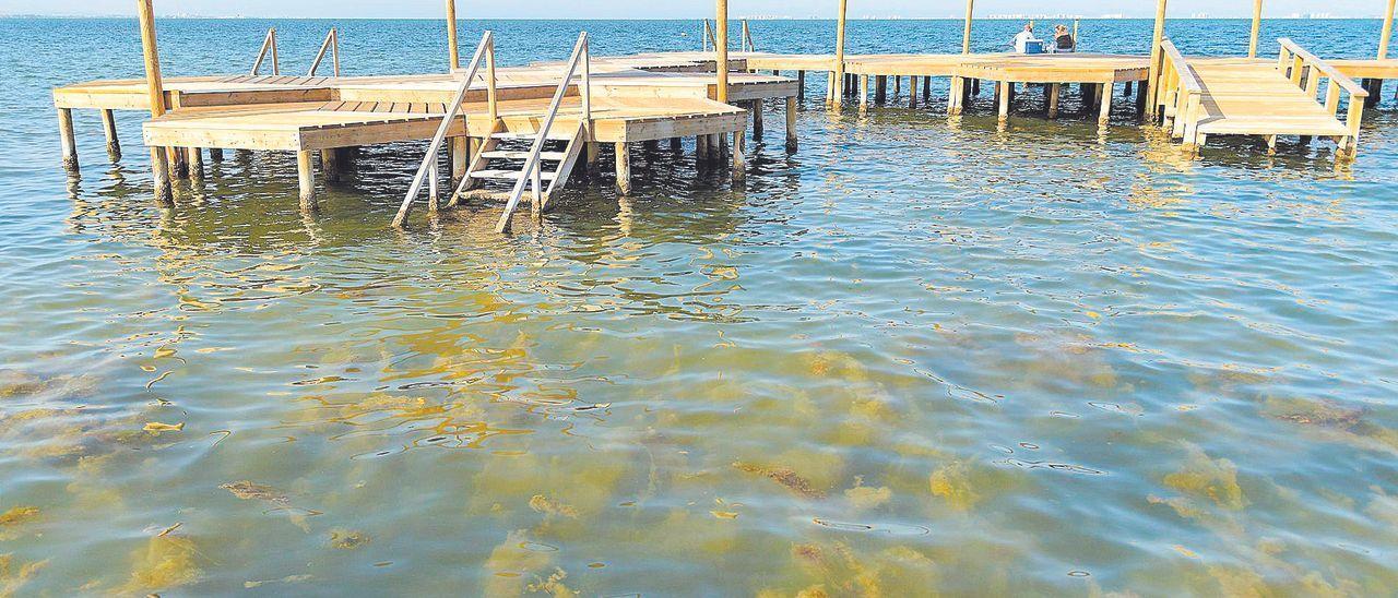 Acumulación de algas en torno al balneario de Los Urrutias, donde los vecinos protestan por el estado de sus playas.