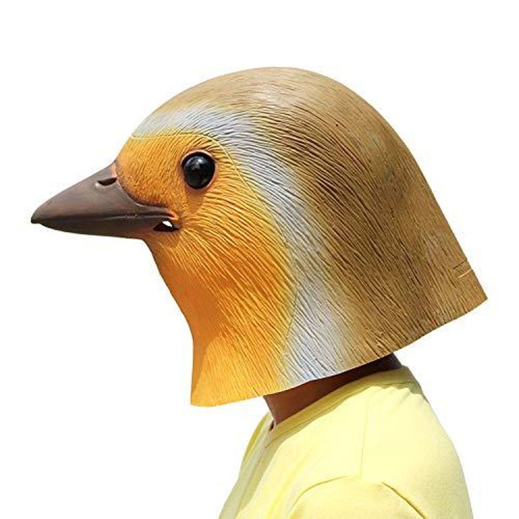 Disfraz de Halloween: cabeza de pájaro