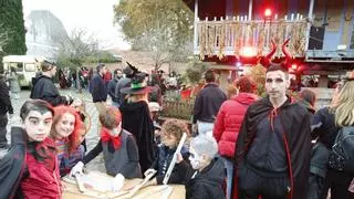 El Jardín Botánico de Gijón muestra su lado "más siniestro" con "Calabazas y calaveras": el regreso de concurso de calabazas decoradas, fiestas temáticas y muchos sustos