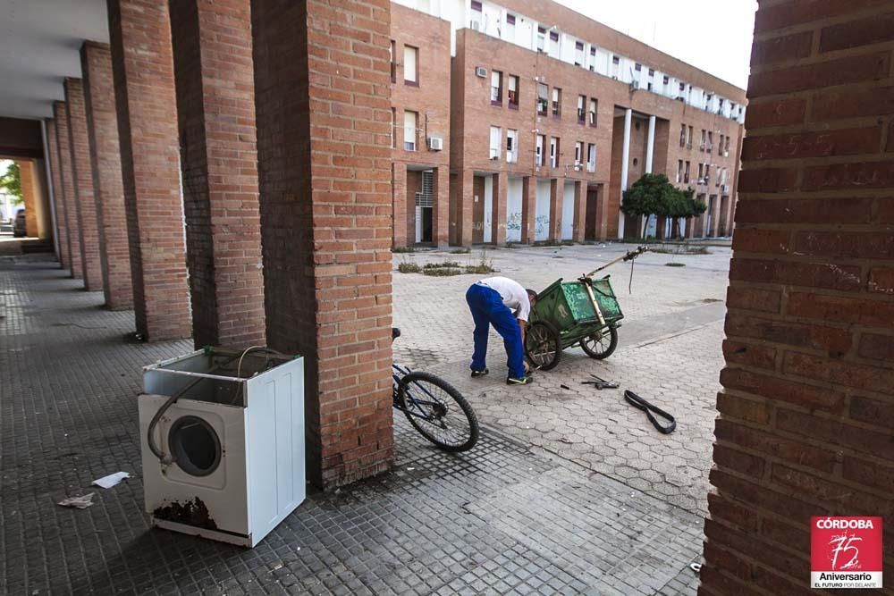 FOTOGALERÍA / La situación actual de las Palmeras