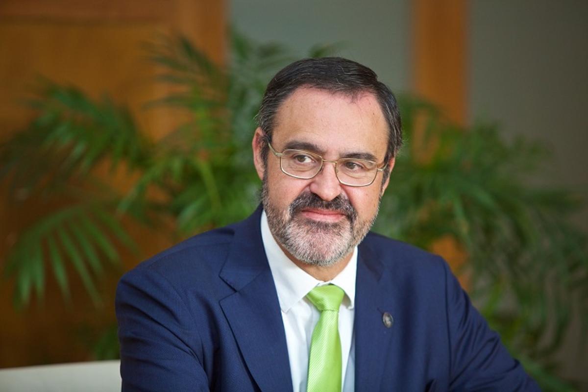 El vicerrector de la UA Salvador Ivorra