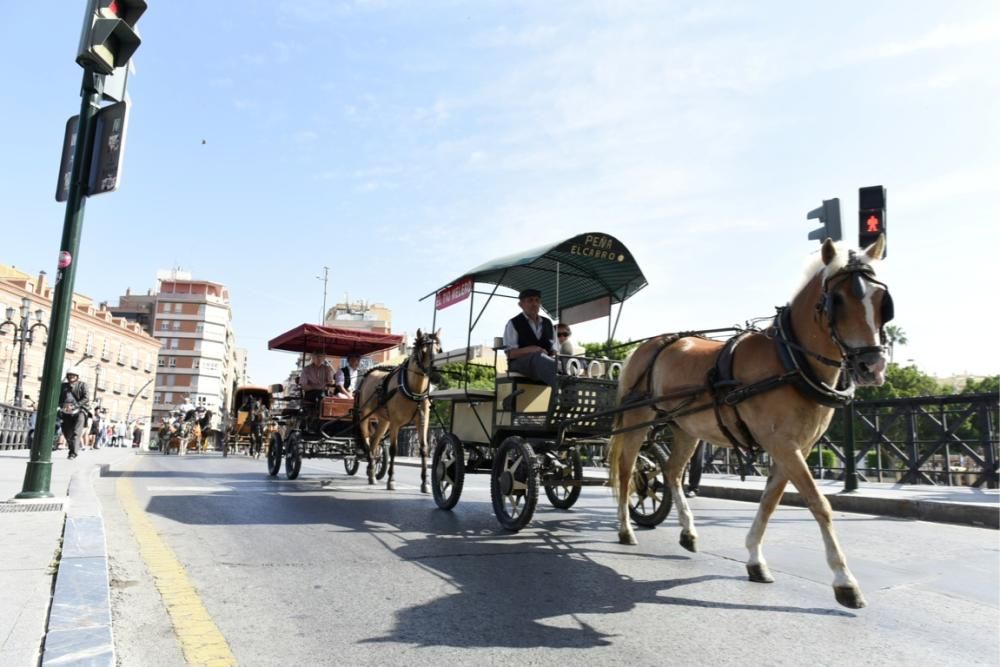 Ruta en carro al corazón de la Huerta