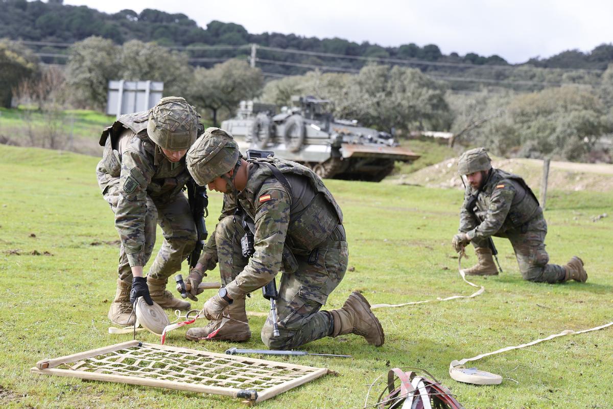 Detección y lucha contra las minas