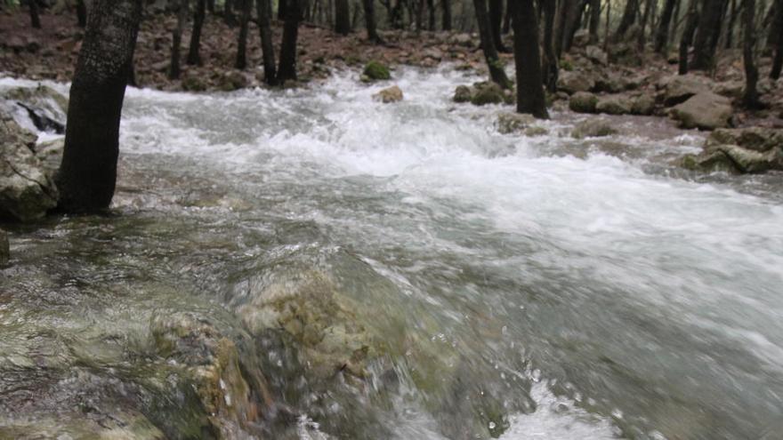 Leserfragen: Warum muss ich auf Mallorca so viel für Abwasser bezahlen?