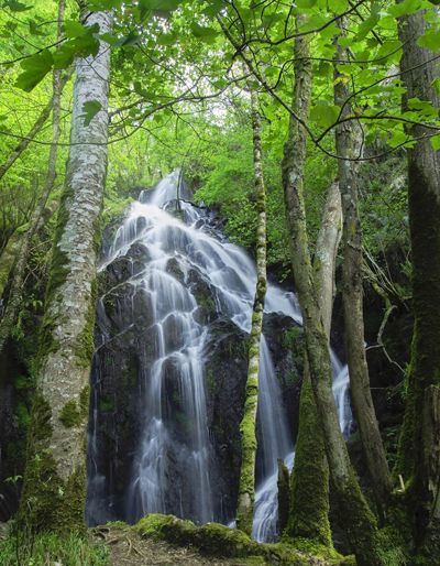 Cascada La Salgueira.jpg