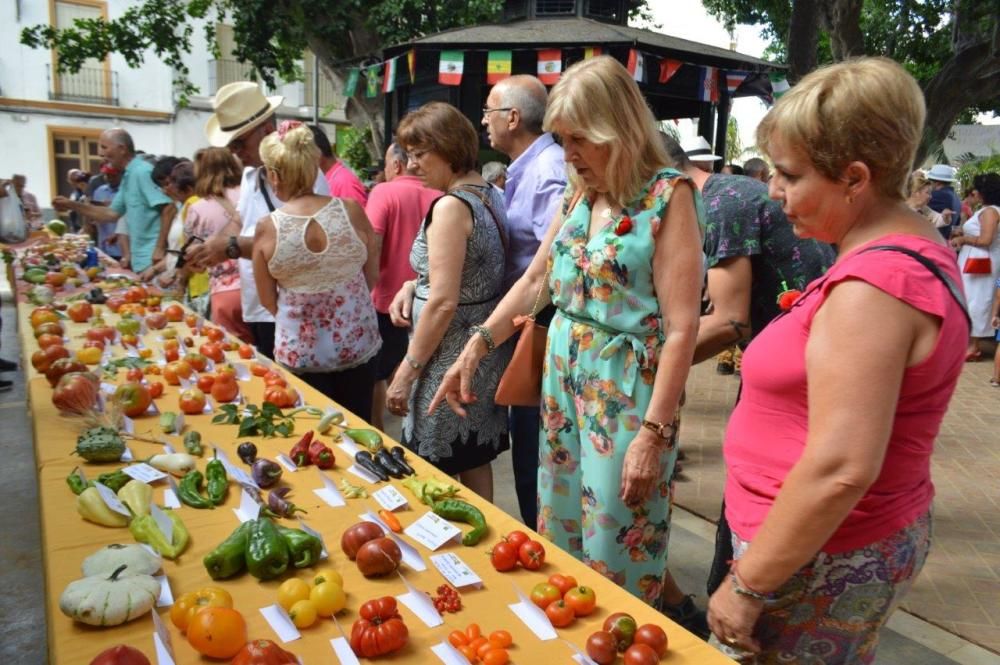 El mejor tomate 'huevo de toro' alcanza los 2.700 euros