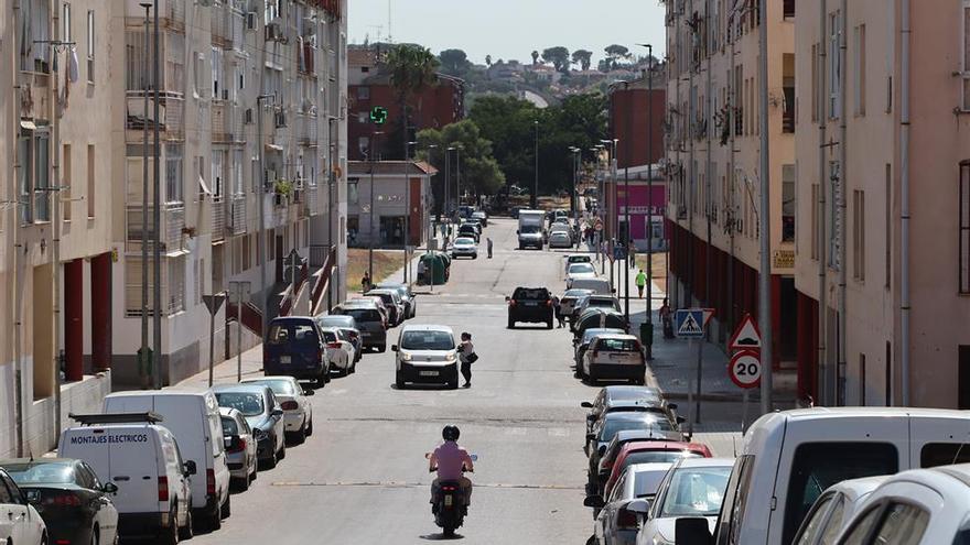 Denuncian la intoxicación y muerte de varios perros en una calle de Badajoz