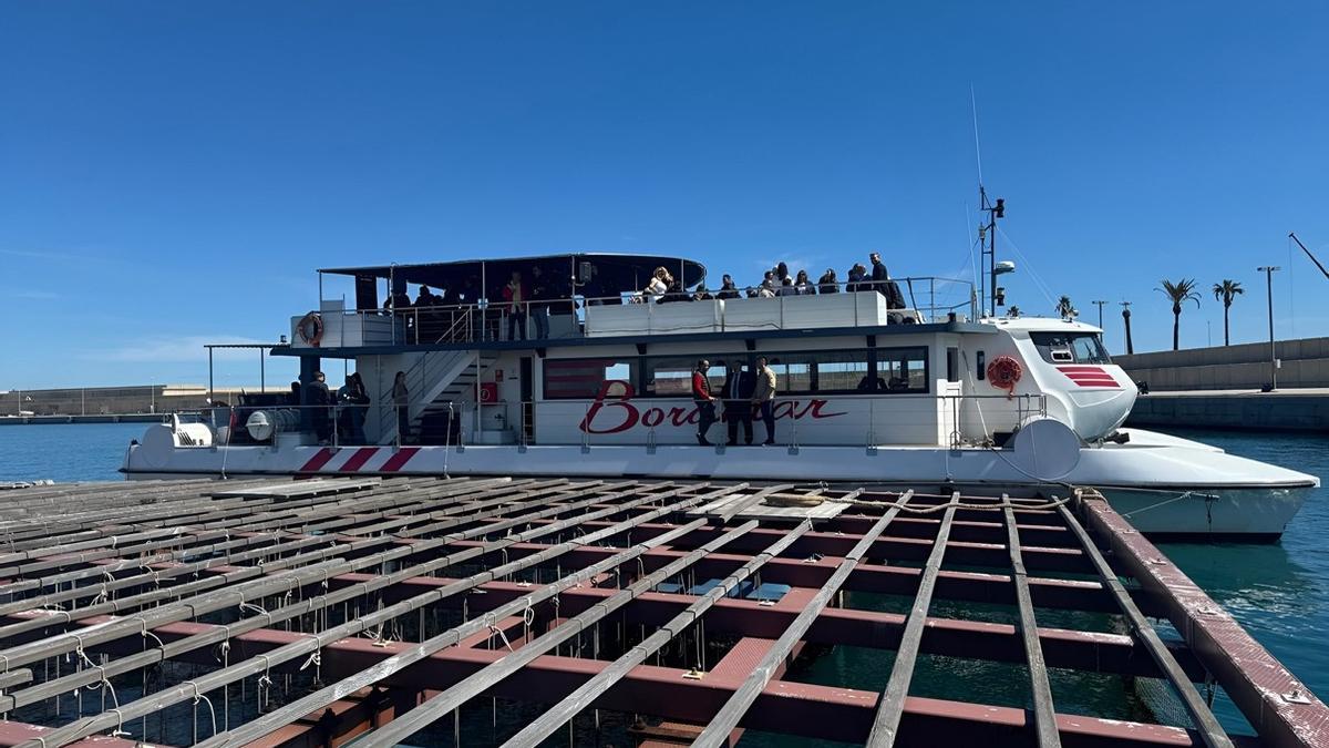 La ruta parte desde la Marina de València y navega hacia los viveros tradicionales.