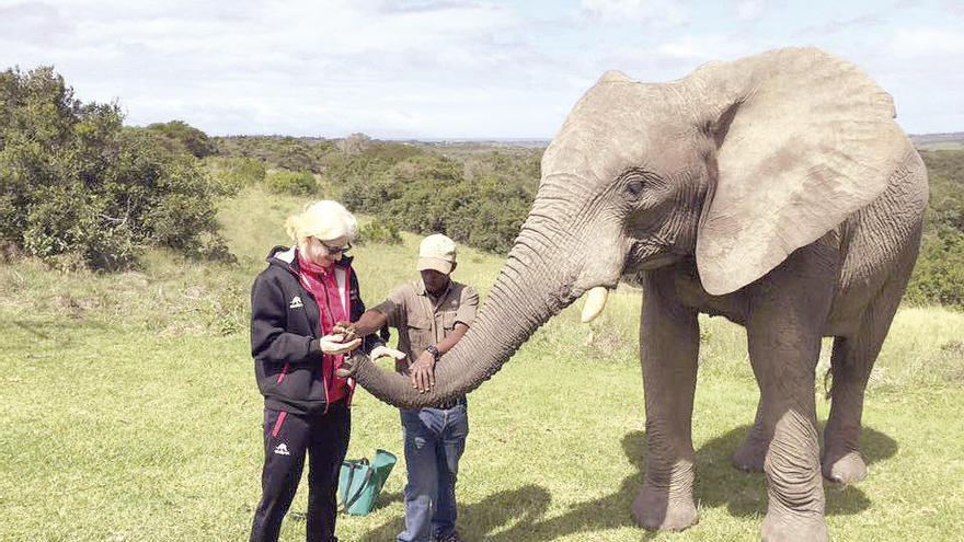 Susana Rodríguez Gacio acaricia un elefante en una visita en Sudáfrica tras disputar el paratriatlón.