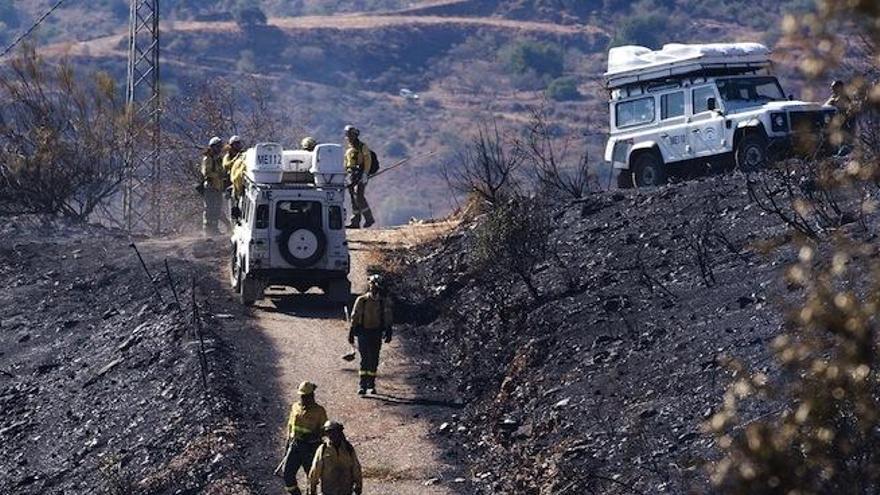 Imagen del incendio declarado hoy al medio día.