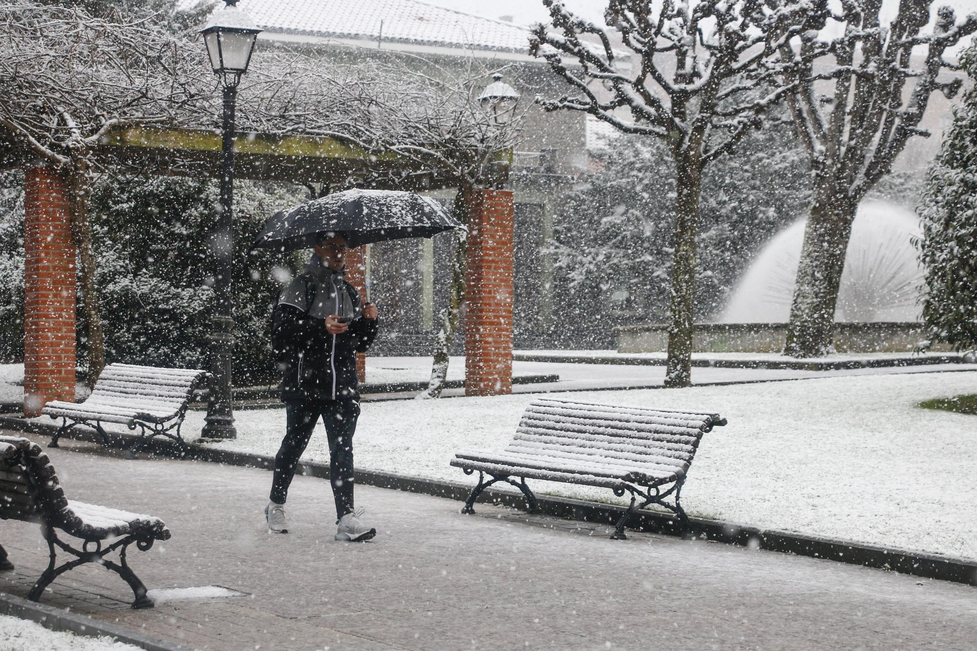 EN IMÁGENES: La borrasca Juliette lleva la nieve casi hasta la costa en Asturias