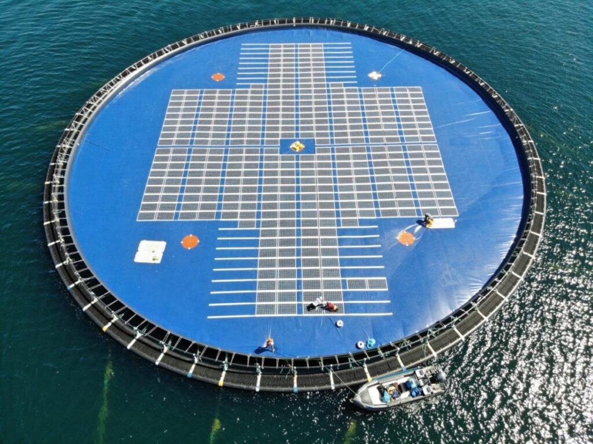 Probarán en Canarias una planta de energía solar flotante