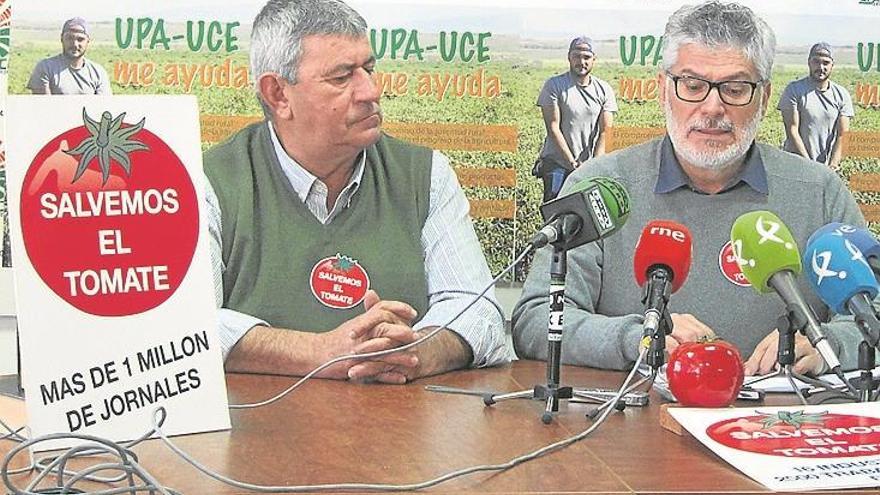 Convocatoria de UPA-UCE por la «bajada sistemática» del precio del tomate