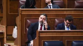 Vox, abocado a una revisión estratégica tras los frentes internos, el frenazo en las encuestas y la defensa trumpista