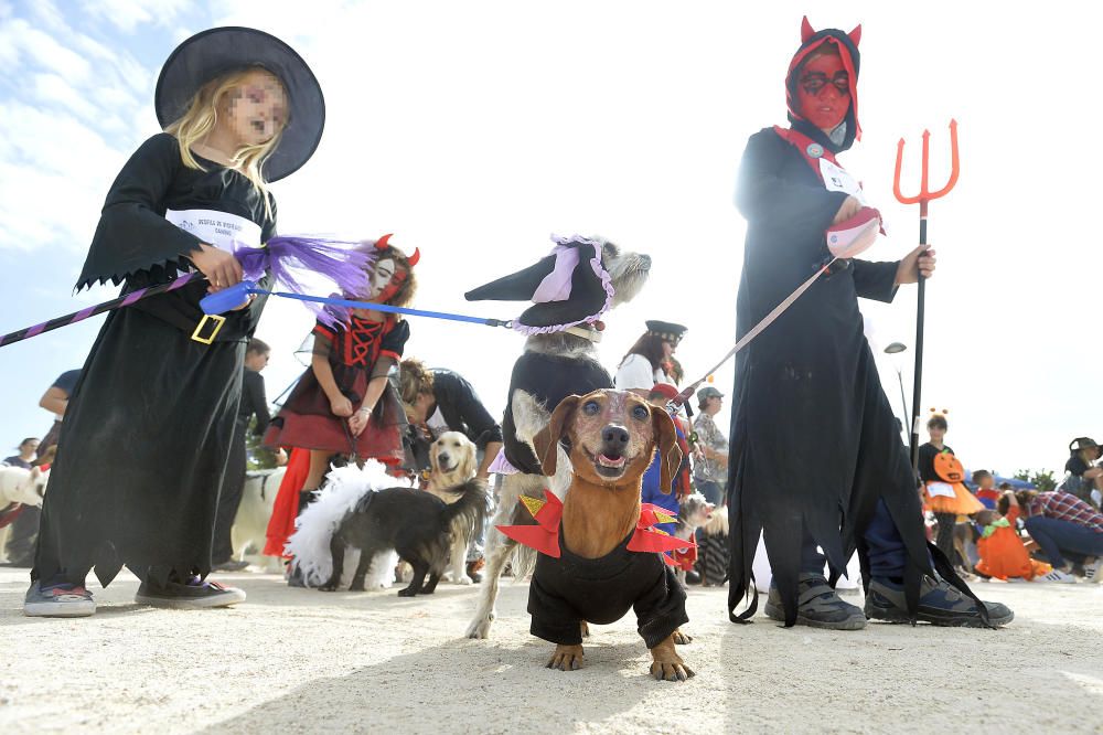 Halloween en el parque canino de Gran Alacant