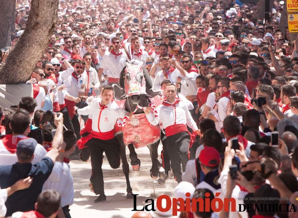 Carrera de los Caballos del Vino