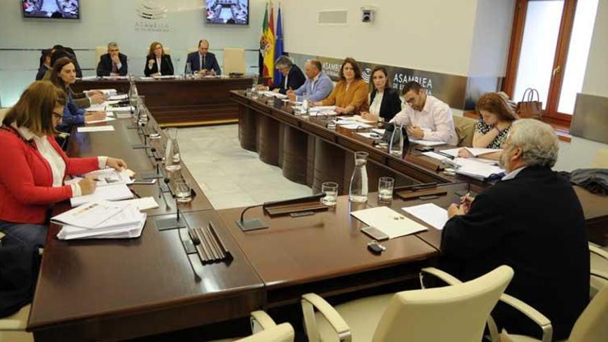 El director de Acorex afirma que la cooperativa fue &quot;moneda de cambio&quot; entre el PP e IU