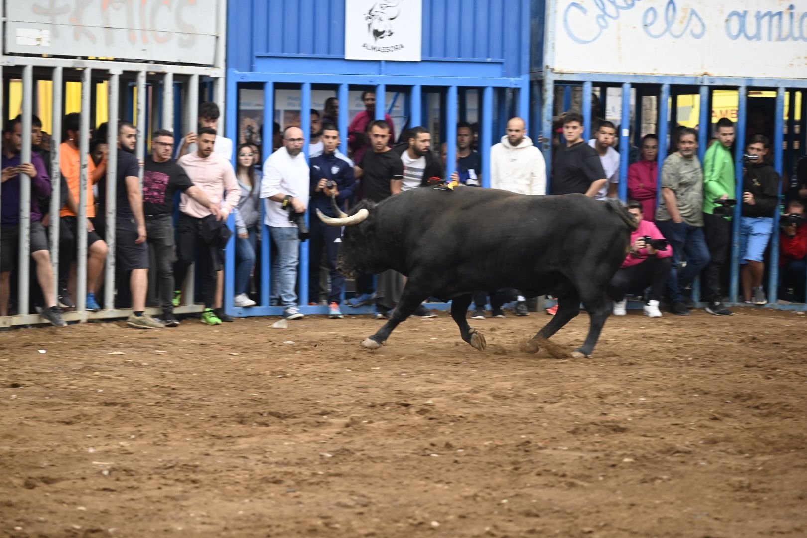 Galería | Las imágenes de la penúltima tarde de toros de las fiestas de Almassora